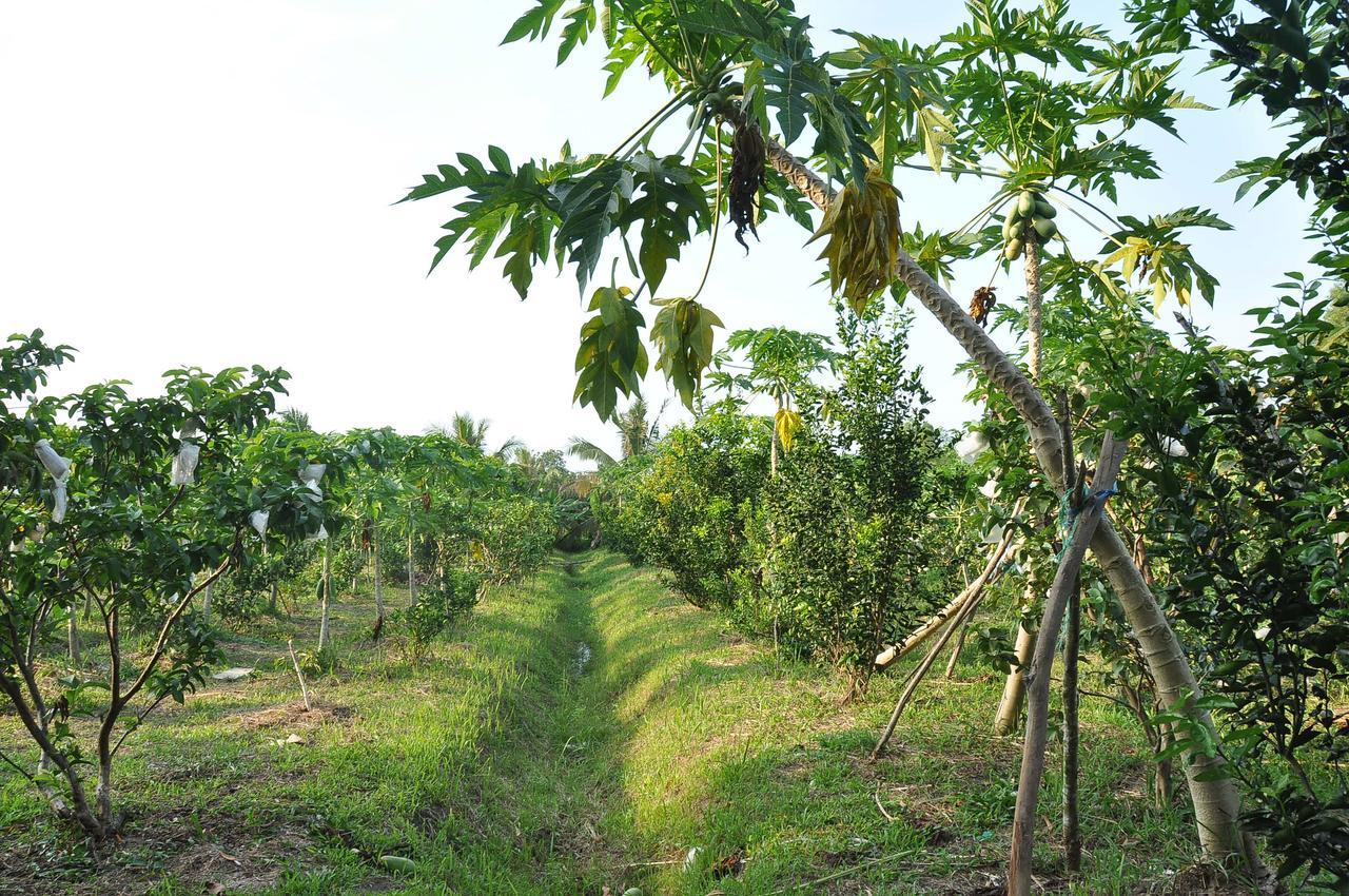 Orchard Fruit Farm Bungalow ฟู้โกว๊ก ภายนอก รูปภาพ