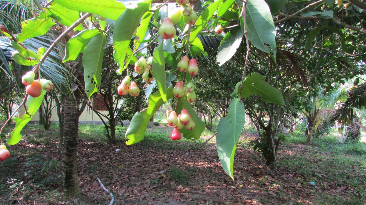 Orchard Fruit Farm Bungalow ฟู้โกว๊ก ภายนอก รูปภาพ
