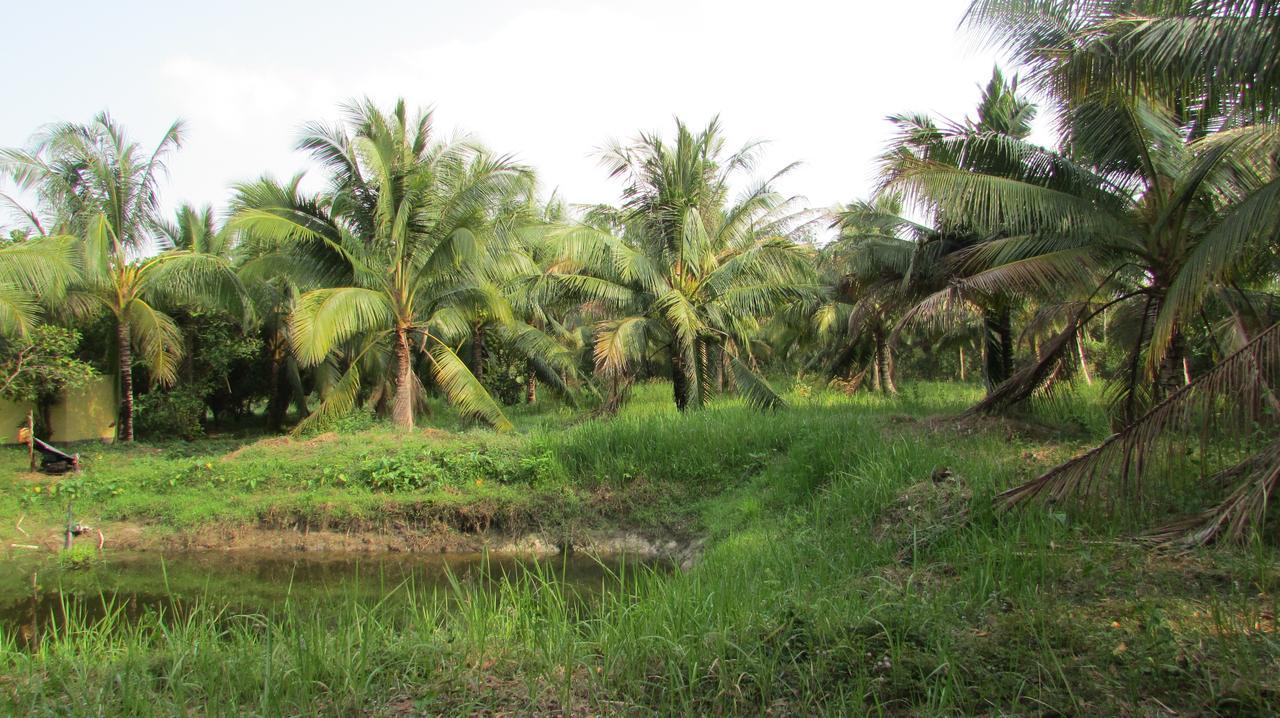 Orchard Fruit Farm Bungalow ฟู้โกว๊ก ภายนอก รูปภาพ