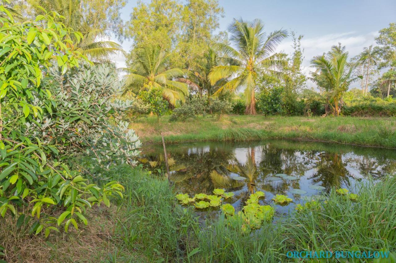 Orchard Fruit Farm Bungalow ฟู้โกว๊ก ภายนอก รูปภาพ