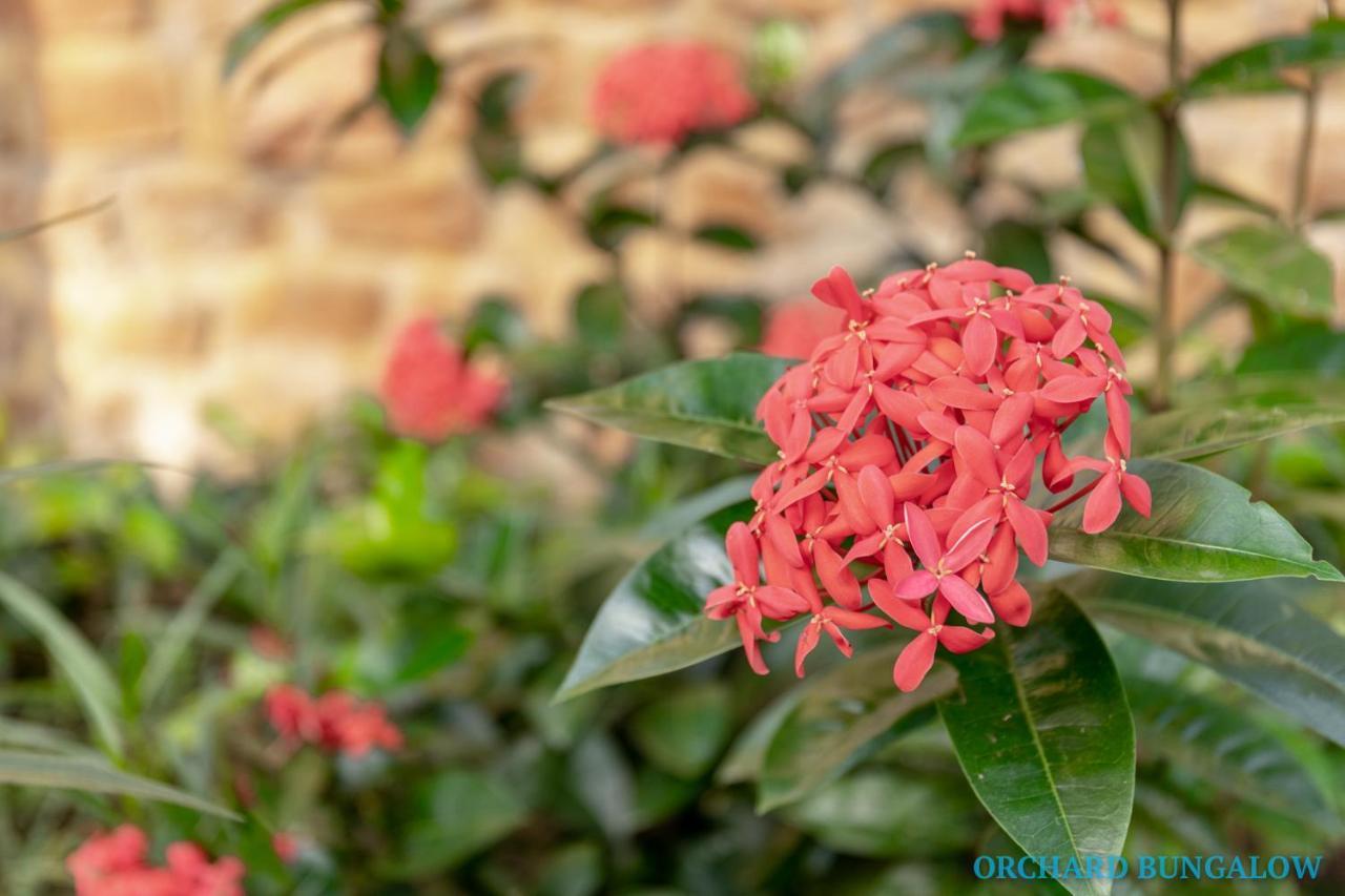 Orchard Fruit Farm Bungalow ฟู้โกว๊ก ภายนอก รูปภาพ