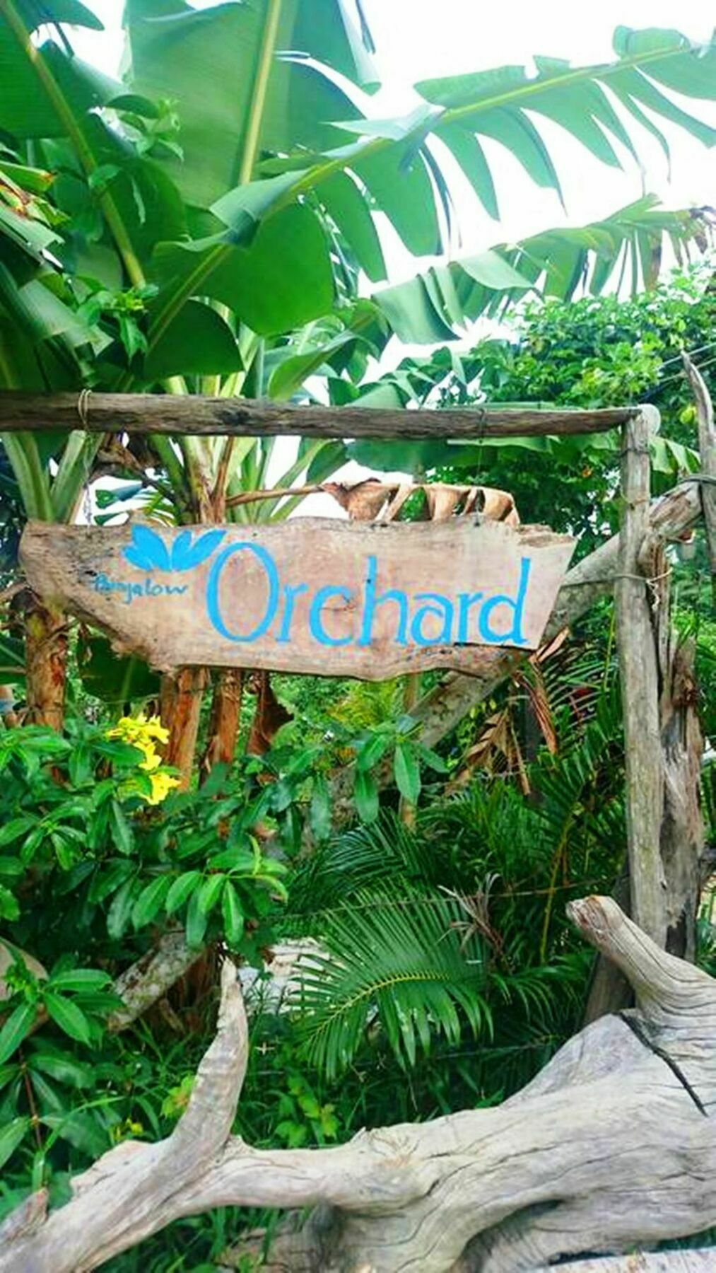 Orchard Fruit Farm Bungalow ฟู้โกว๊ก ภายนอก รูปภาพ