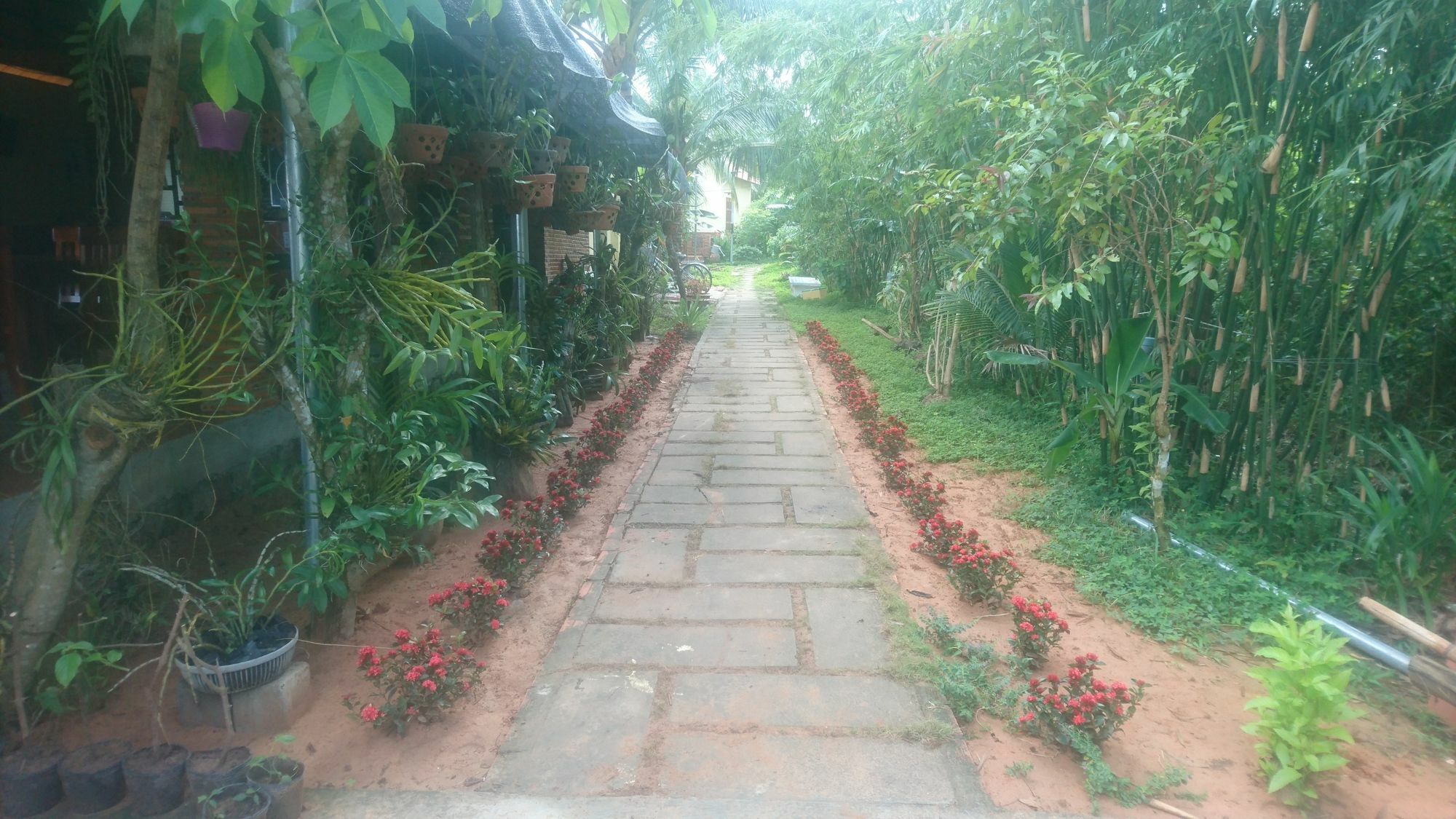 Orchard Fruit Farm Bungalow ฟู้โกว๊ก ภายนอก รูปภาพ