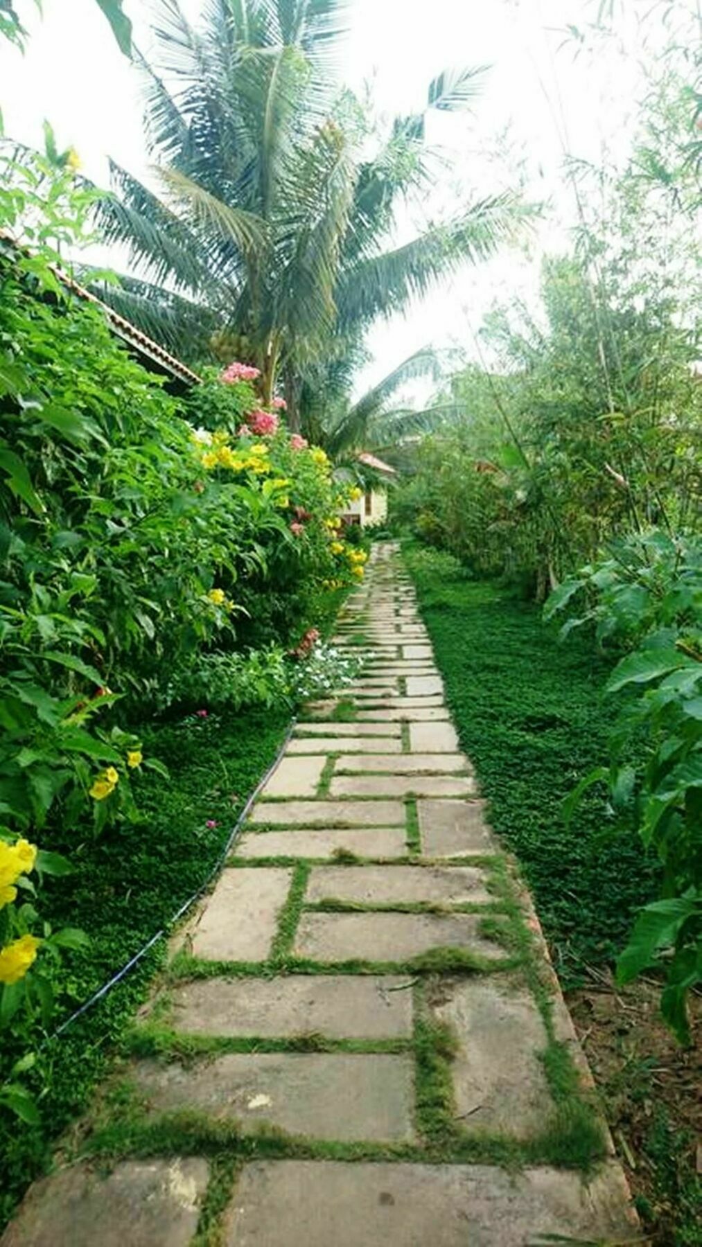Orchard Fruit Farm Bungalow ฟู้โกว๊ก ภายนอก รูปภาพ